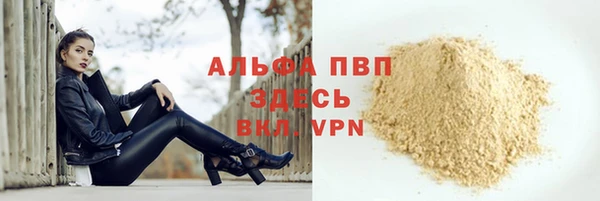 гидра Володарск